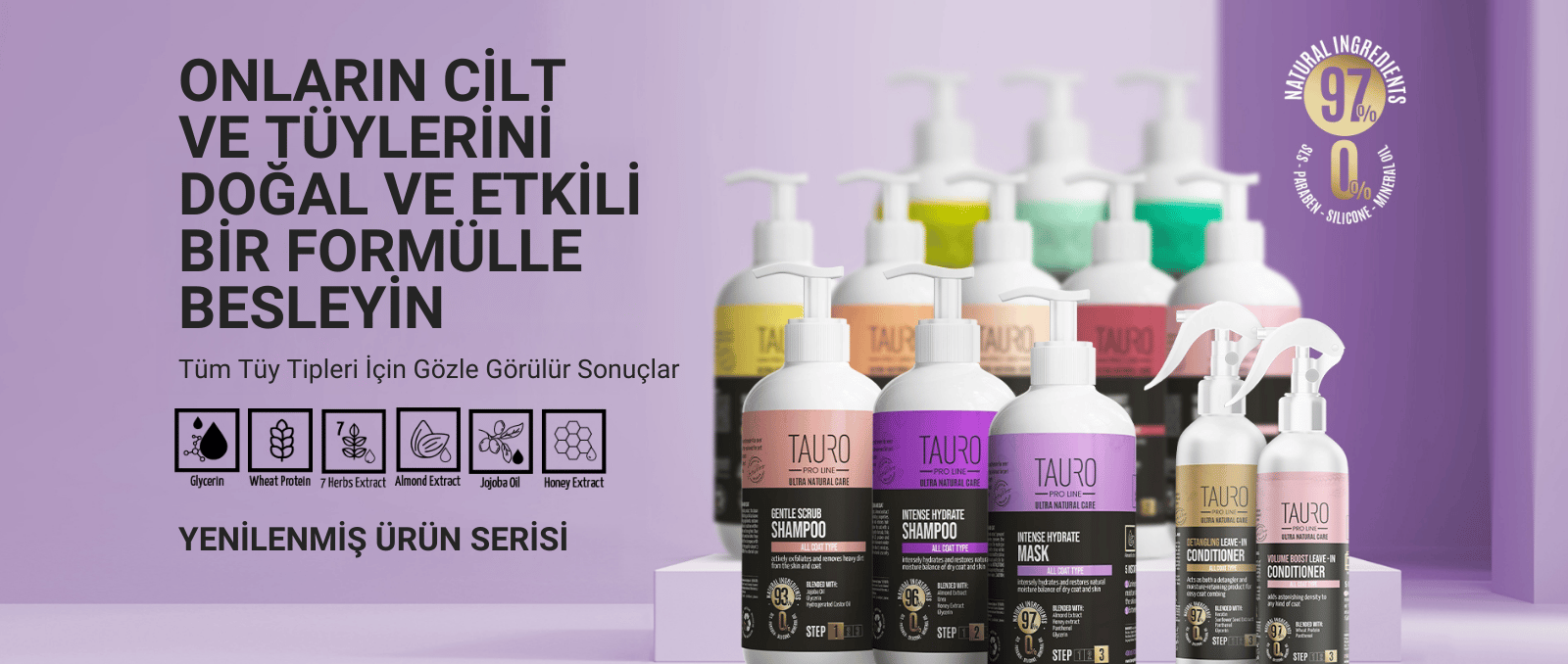 Main – Banner – V4-1