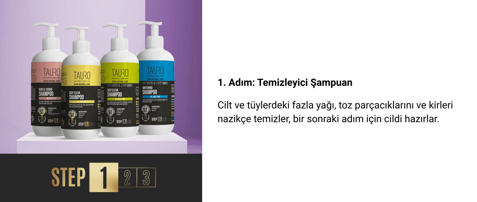 step 1v