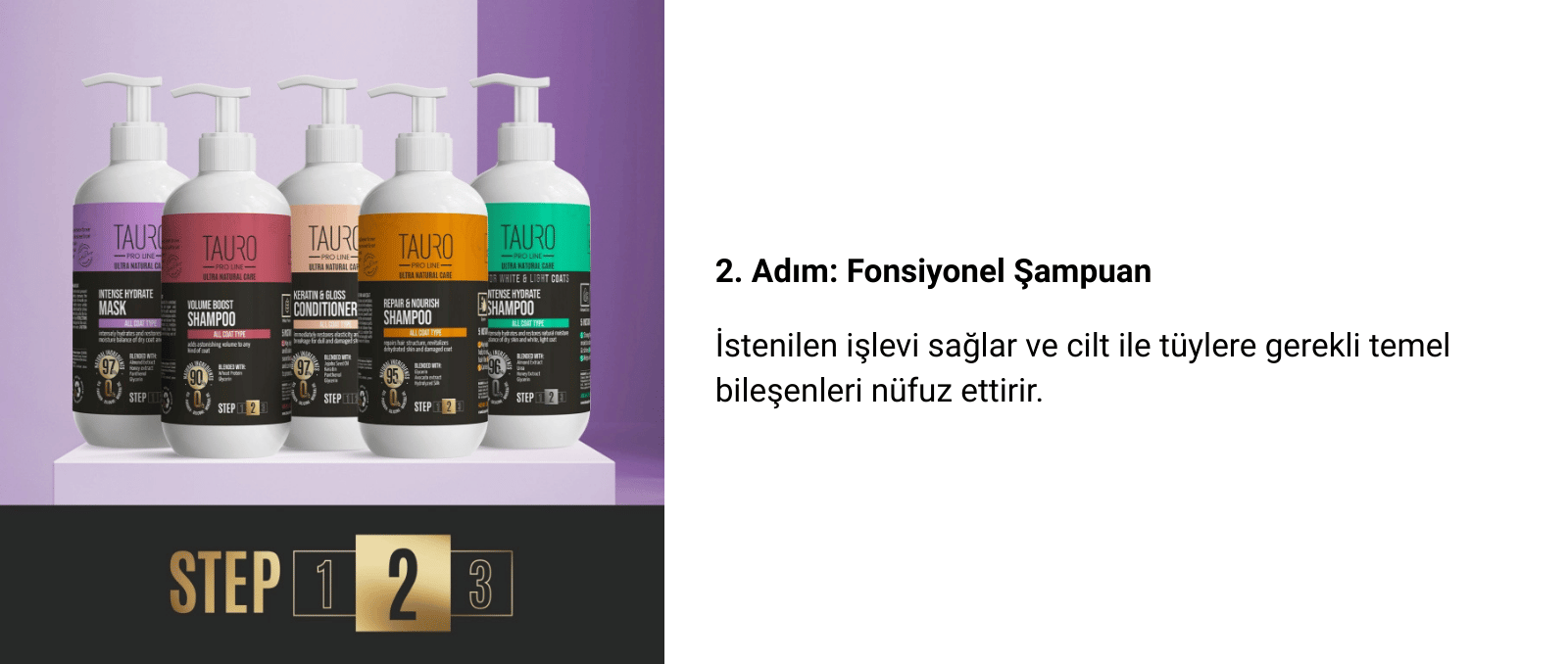 step 2v